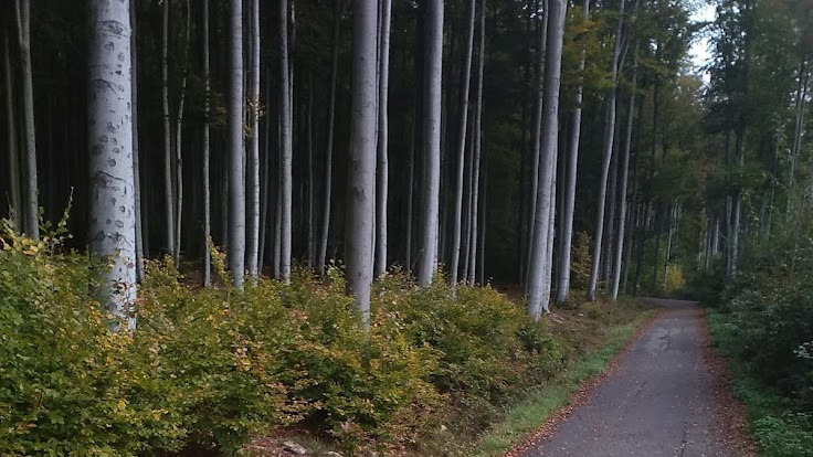 Kleť strecke